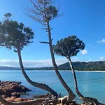 Superbe Vecchio Vue A Pied