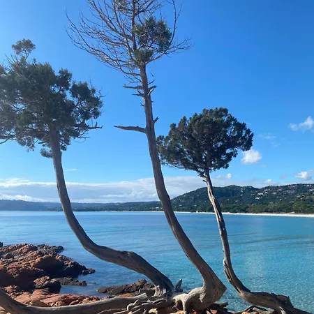 Superbe Vecchio Vue à Pied