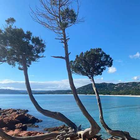 Superbe Vecchio Vue A Pied