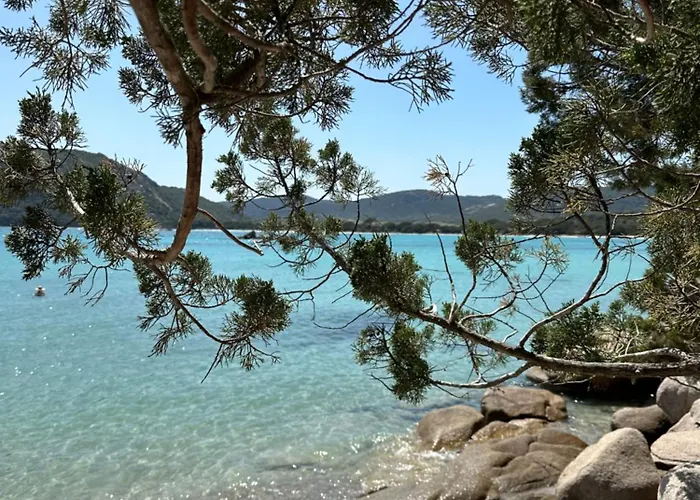 Superbe Vecchio Vue A Pied 别墅 *